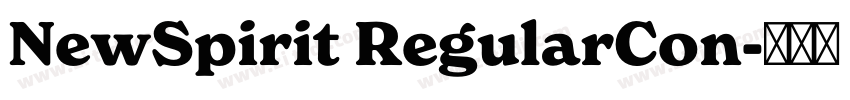 NewSpirit RegularCon字体转换